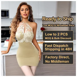 Wholesale Women's Beige Bodycon Lace Appliqued Dress Sexy Halter Neck Design with V Neck Custom Slim Fit Mini Dress for Women