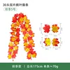 Otoño No.5