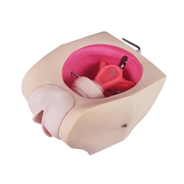 Продвинутая женская модель контрацепции, ПВХ анатомический манекен для обучения медсестер, медицинская научная модель позвоночника