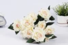 rosa incarnado