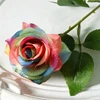 Colorato