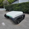 Electric Lawn Mower