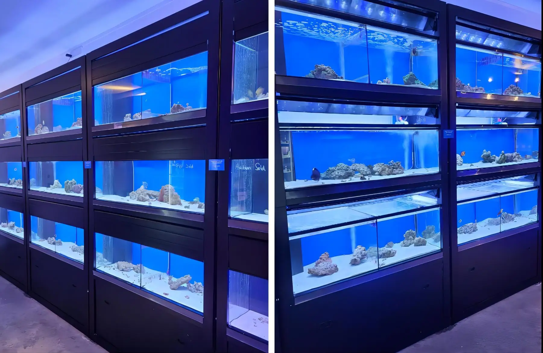 Customised Fish Tank Stand Multiple Layer Three Layers Large Rimless