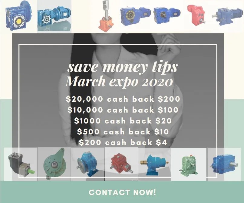 Zhejiang Factory Rotator Worm Gear Belt Conveyor Torque Arm Shaft