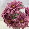 Viola malva