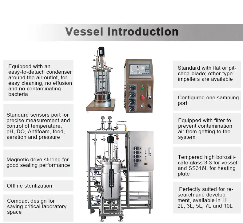 Small Laboratory Benchtop Bioreactor Fermenter 1l 2l 3l 5l 7l 10l 20l Anaerobic Glass Bioreactor Fermentor