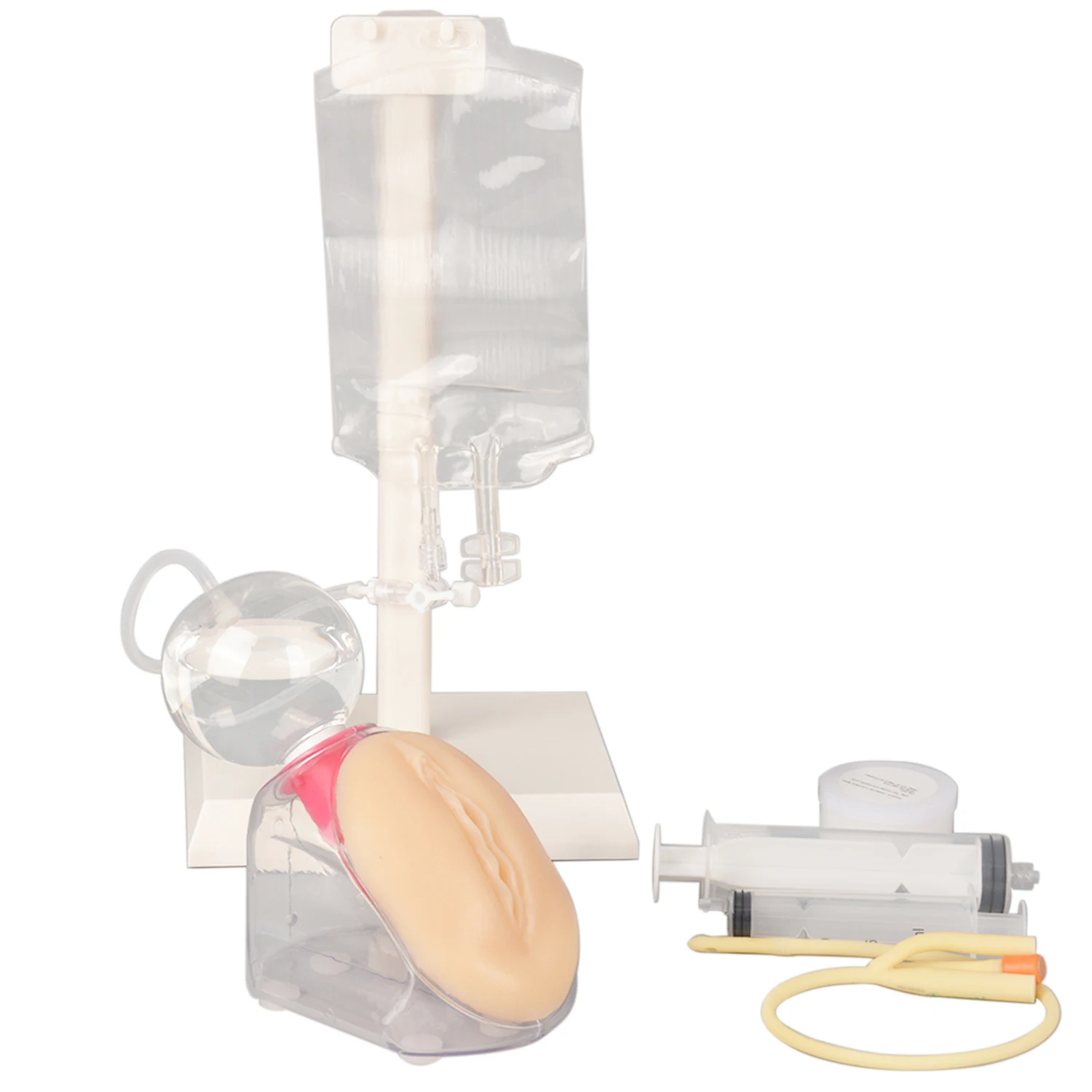 Female Urinary Catheterization Model Urethral Catheter Insertion Practice Training Tools Medical Simulator