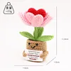 Love tulip potted plant