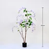 Purple weeping jasmine bonsai, 150cm