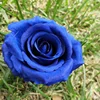 Blu zaffiro