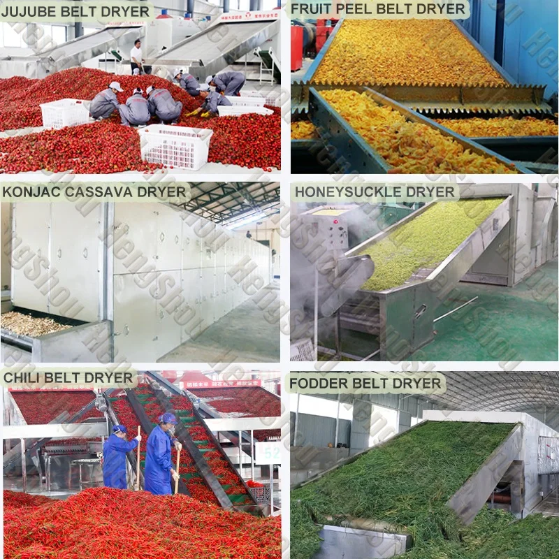 Customized Coffee Beans Drying System Automatic Mesh Belt Type Cocoa Bean Areca Nut Coffee Grounds Drying Dryer Machine Provided