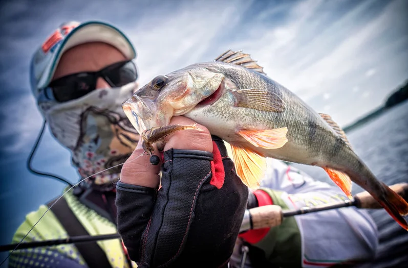 Newly Designed Fishing Rod 2.7m Carbon Rod 6 Sections Sea Pole Dark