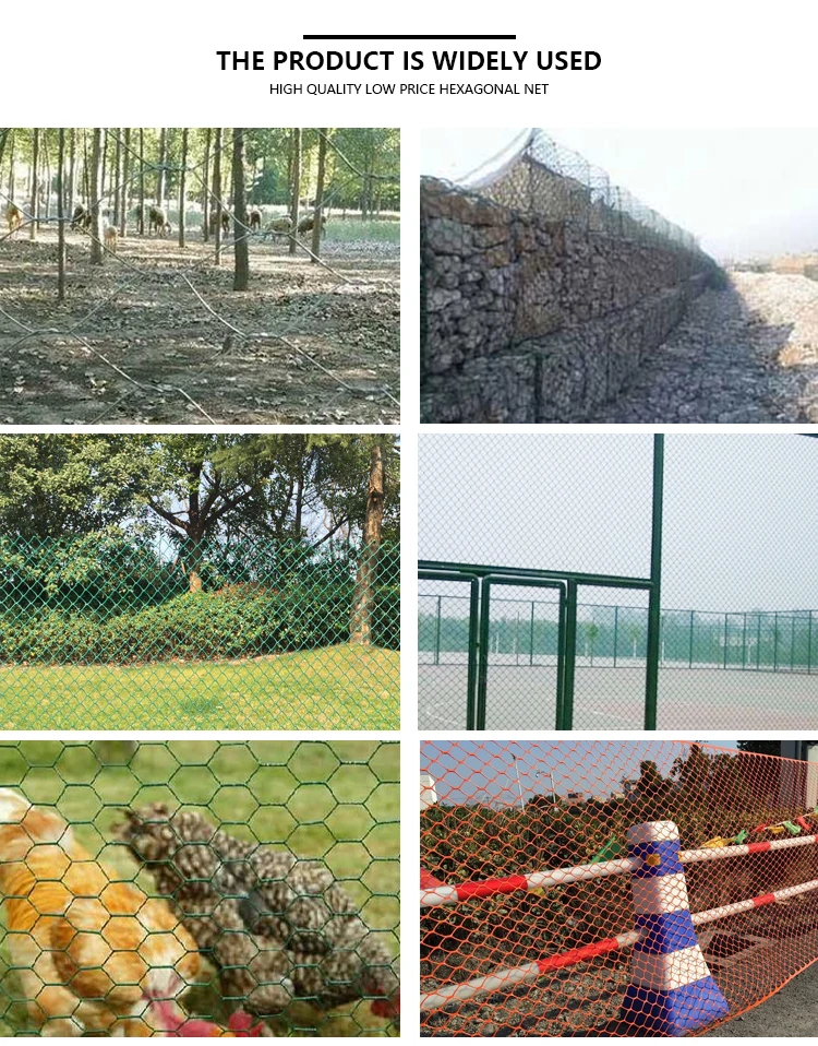 Hot Selling Wire Netting Galvanized Mesh Hexagonal Wire Mesh