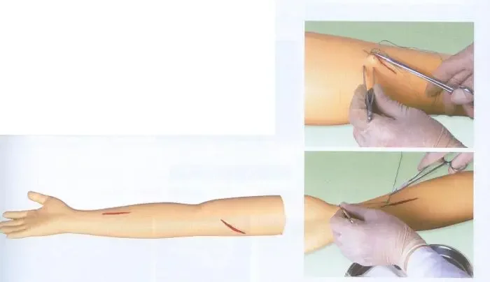 Медицинская модель анатомии человека, хирургический разрез и тренировочная ручка для швов с имитацией ПВХ материала