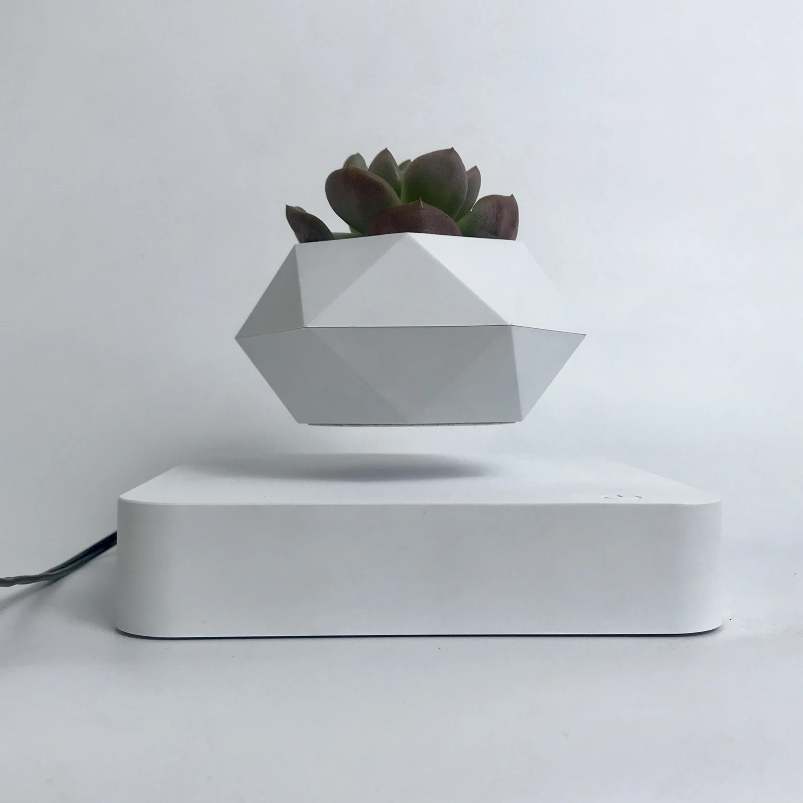 Levitating Bonsai Wooden Floating Plant Levitation