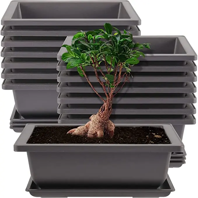 Plastic Bonsai Tree Pot