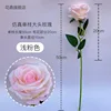 Light pink single large-headed rose