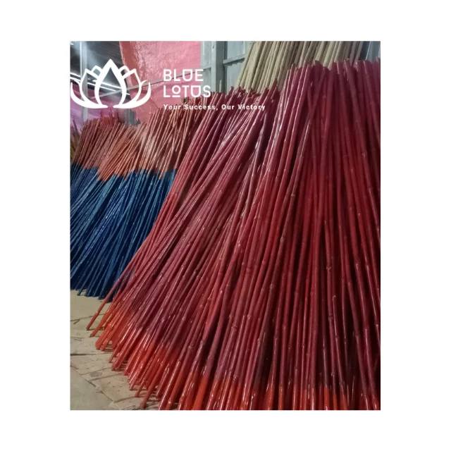 dracaena marginata red princess Large Dracaena Marginata Tricolor (203cm) in Nursery Grow Pot – Pulpy Garden