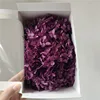 grape purple