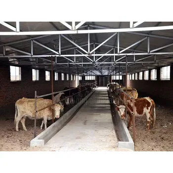 Diary Farm Steel Structure milking Cows Room Steel Structure dairy Hangar Steel Structure