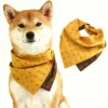 Turmeric contrast square
