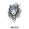 TBS 8173   TBS 8173   TBS 8173