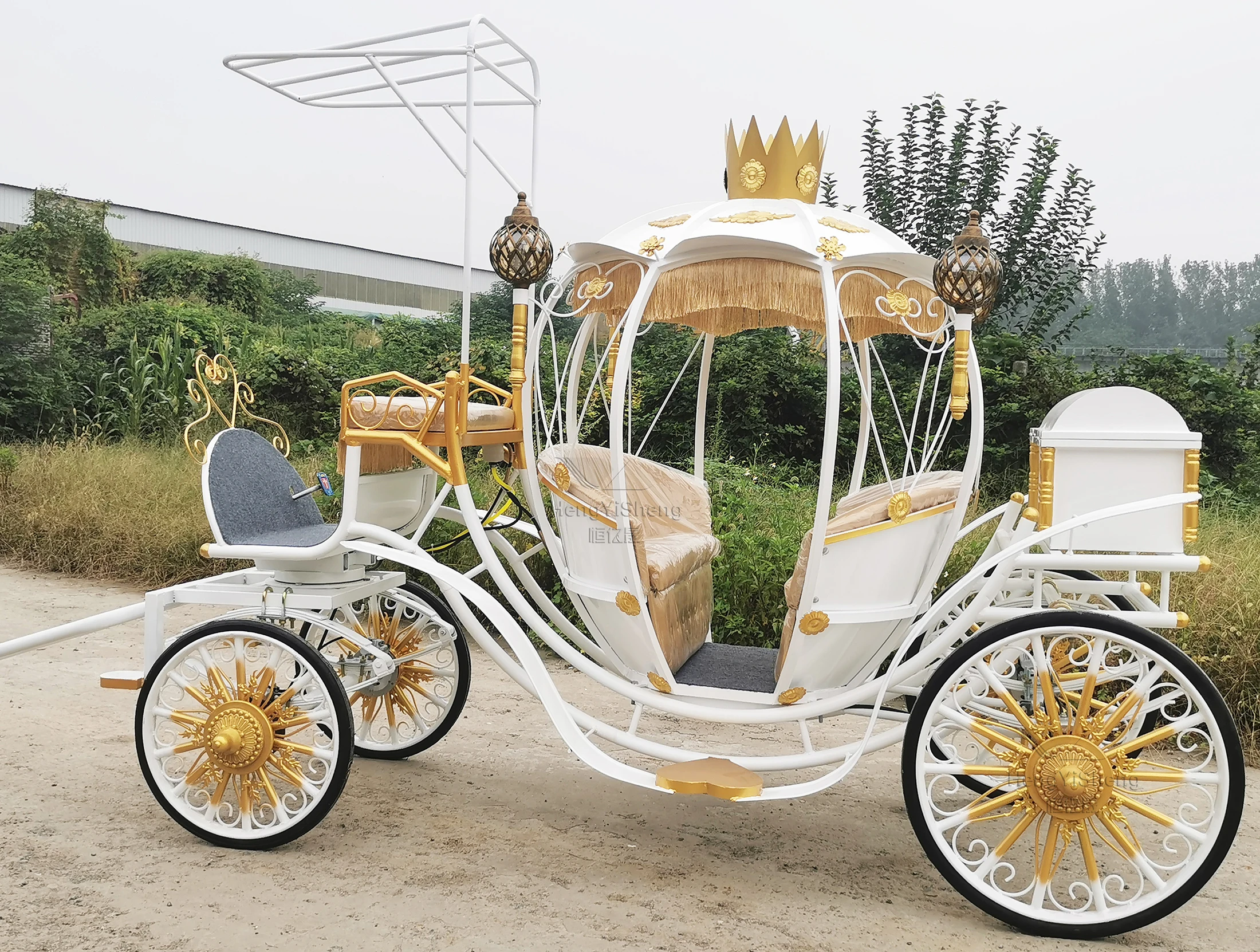 White Electric Cinderella Pumpkin Horse Carriage For Sale/luxury ...