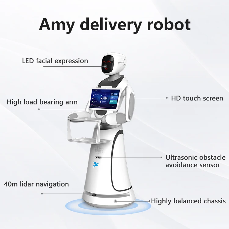 Best Quality Humanoid Service Automatic Robot Waiter