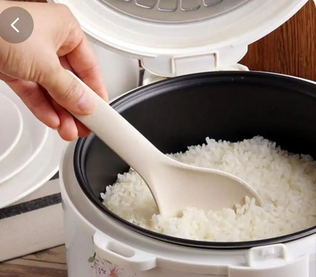 Economical Biogas Rice Cooker