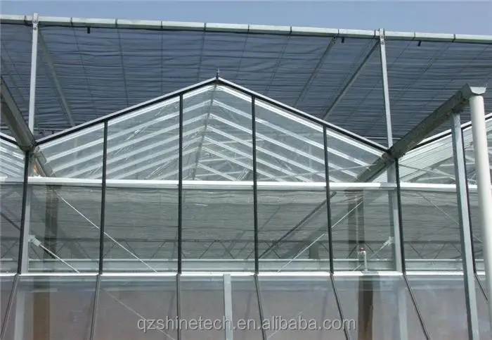 triangle roof greenhouse