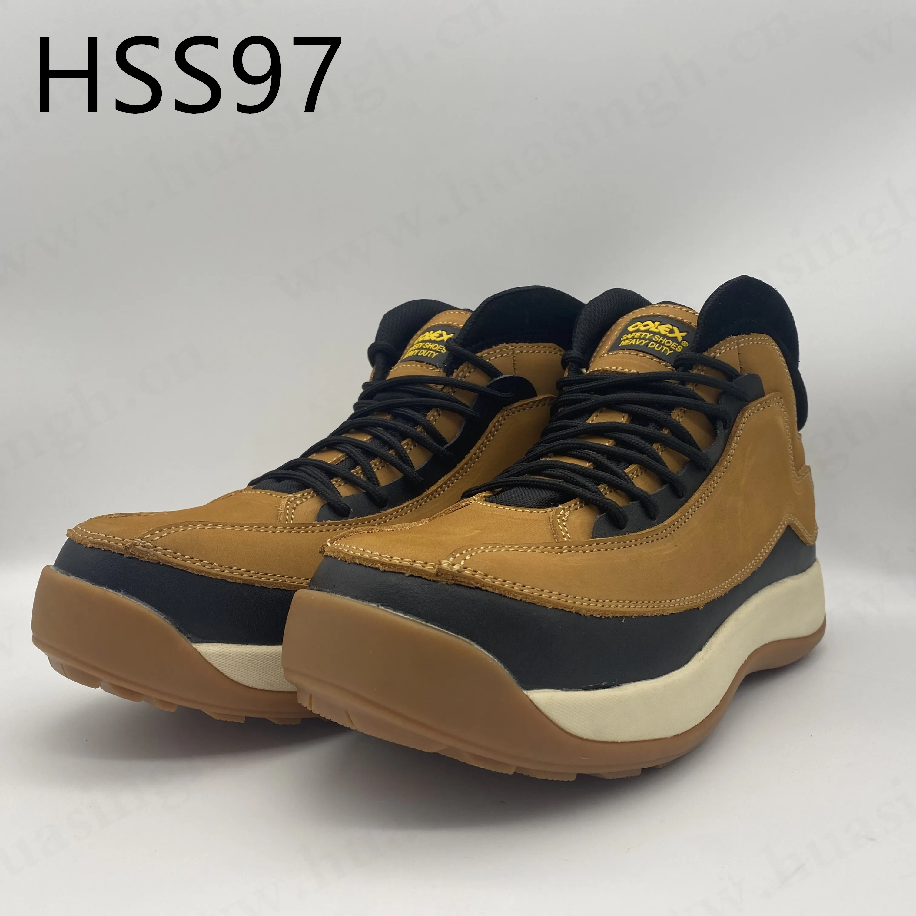 HSS97 (2)