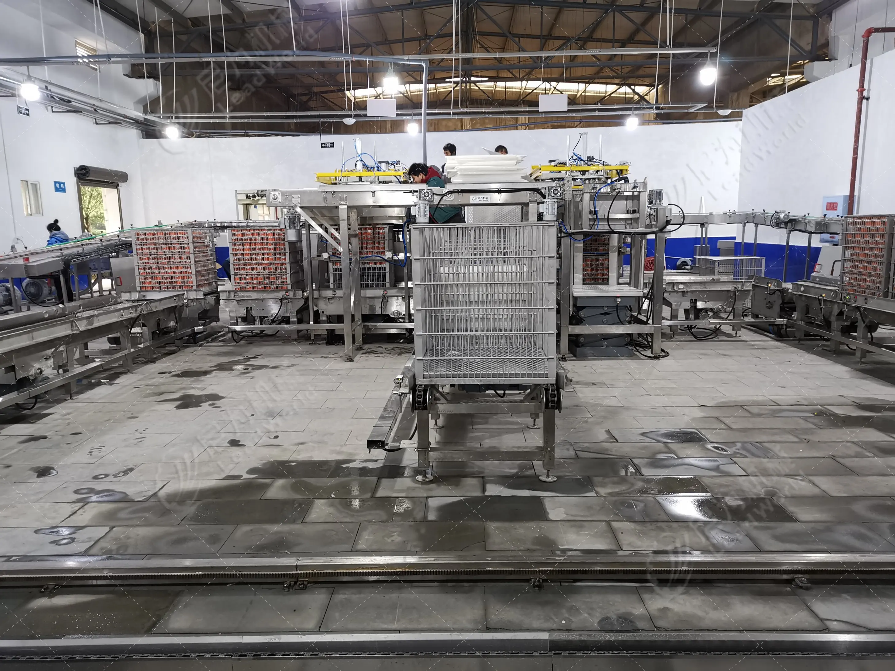 Canned Mutton Beef Chicken Pork Packing Line Food Canning Machine Buy