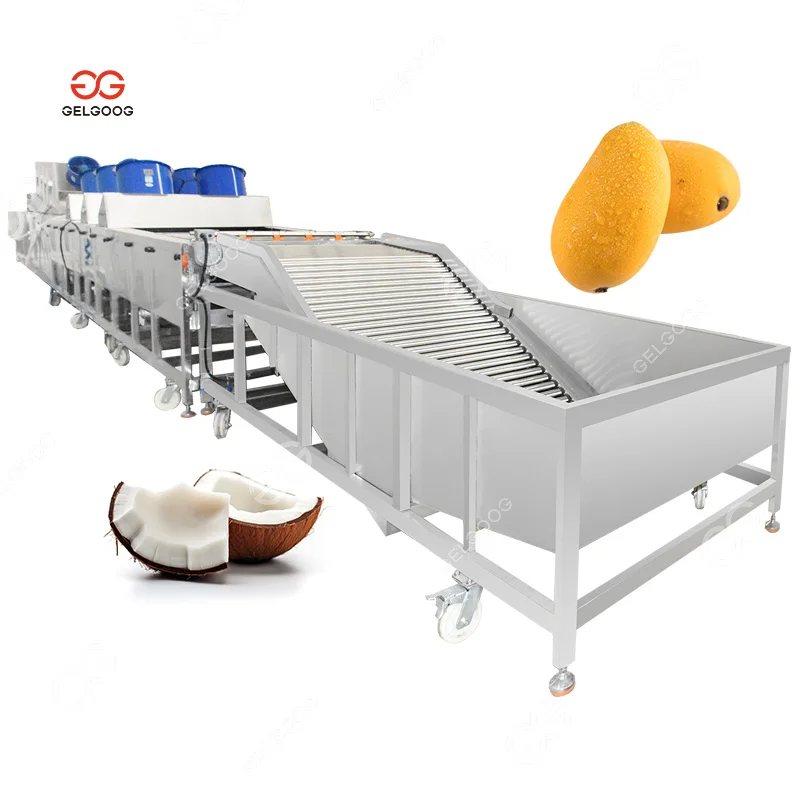Automatic Electric Fruit and Vegetable Cleaner Coconut Meat Washer Mango Bubble Wash Machine