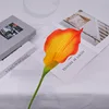 Sin subdesarrollo de cabeza de flor de 2 ramas y tallo
