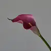 Violet - 50CM