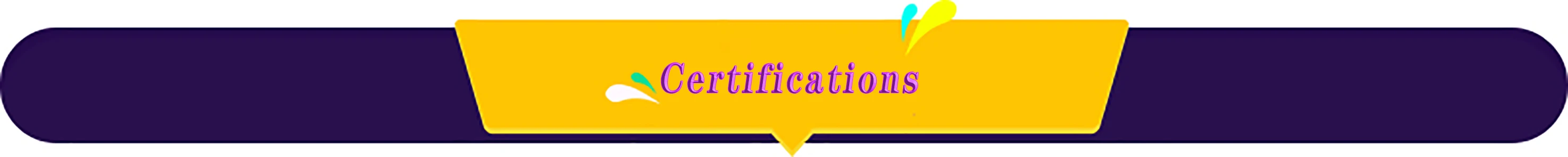 European License Plate Holder