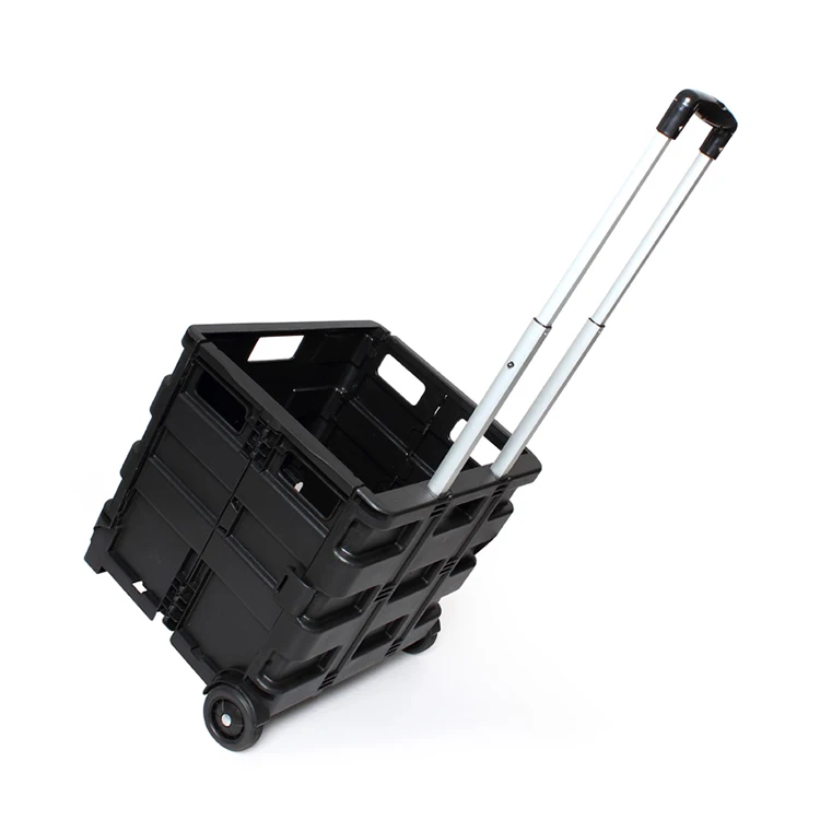 A903404-black (2).jpg