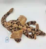 Leopard Print Dragon 50cm Official 66cm In Stock
