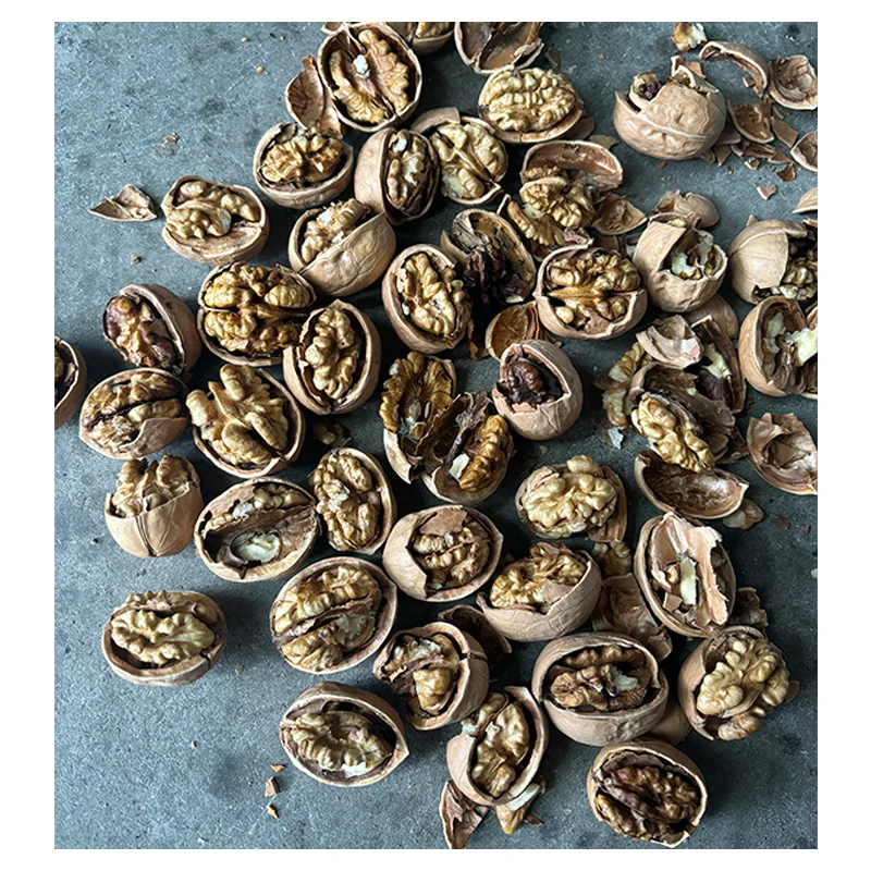 Shelled Walnuts Extra 5-7cm Light Kernels Premium Quality 20kg PP Bag Competitive Price Walnuts