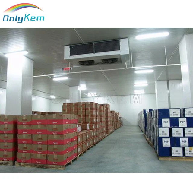 Logistics Warehouse 1000m2 Cold Room for Vegetables, Walk in Freezer Cold Room With Sectional Door