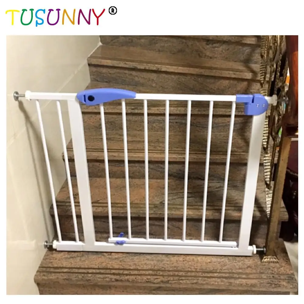 wire haired cairn terrier