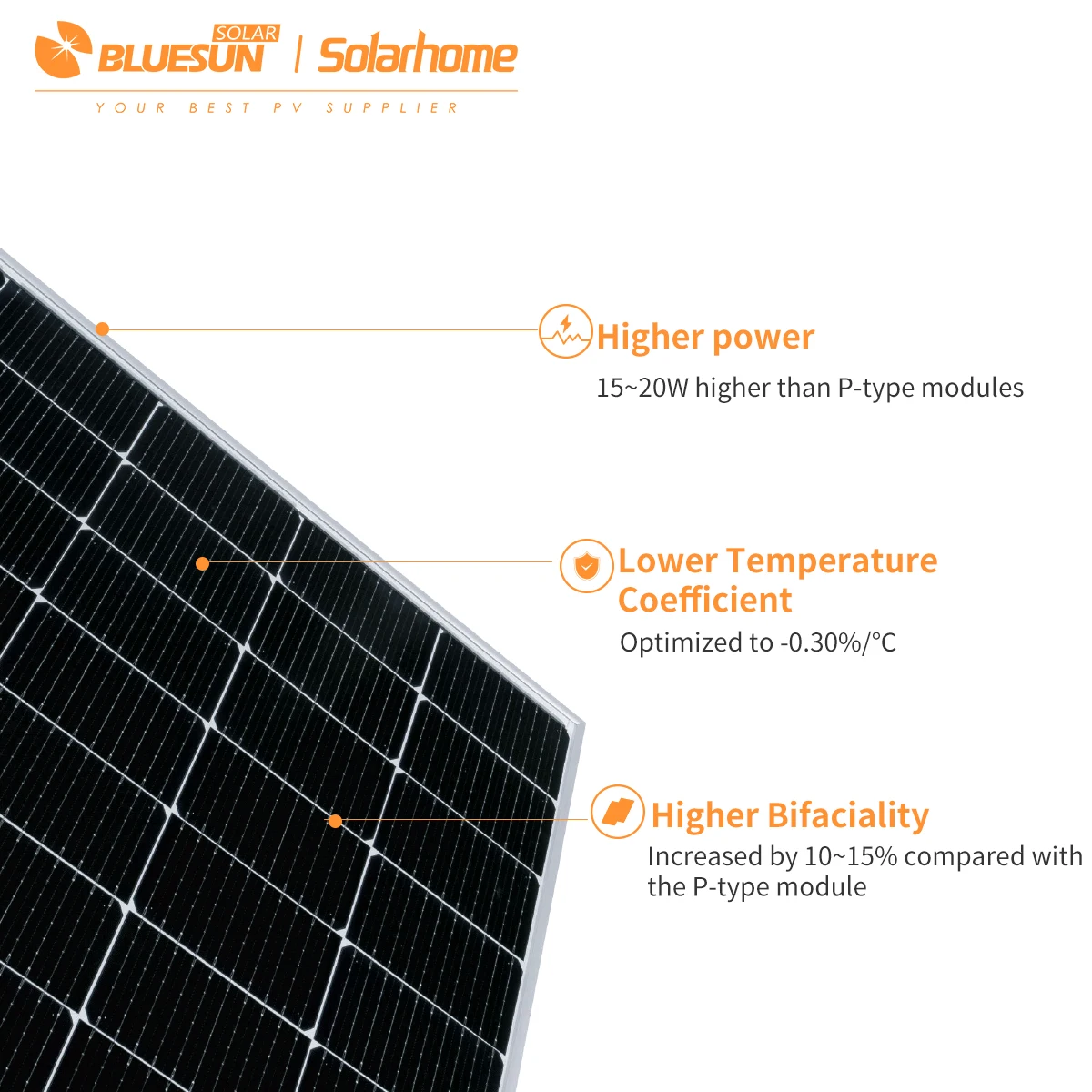 Bluesun Wholesale Price Topcon 590W 600W Solar Panel Bifacial Dual Glass Home Use