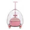 Style 1 Pink Transparent