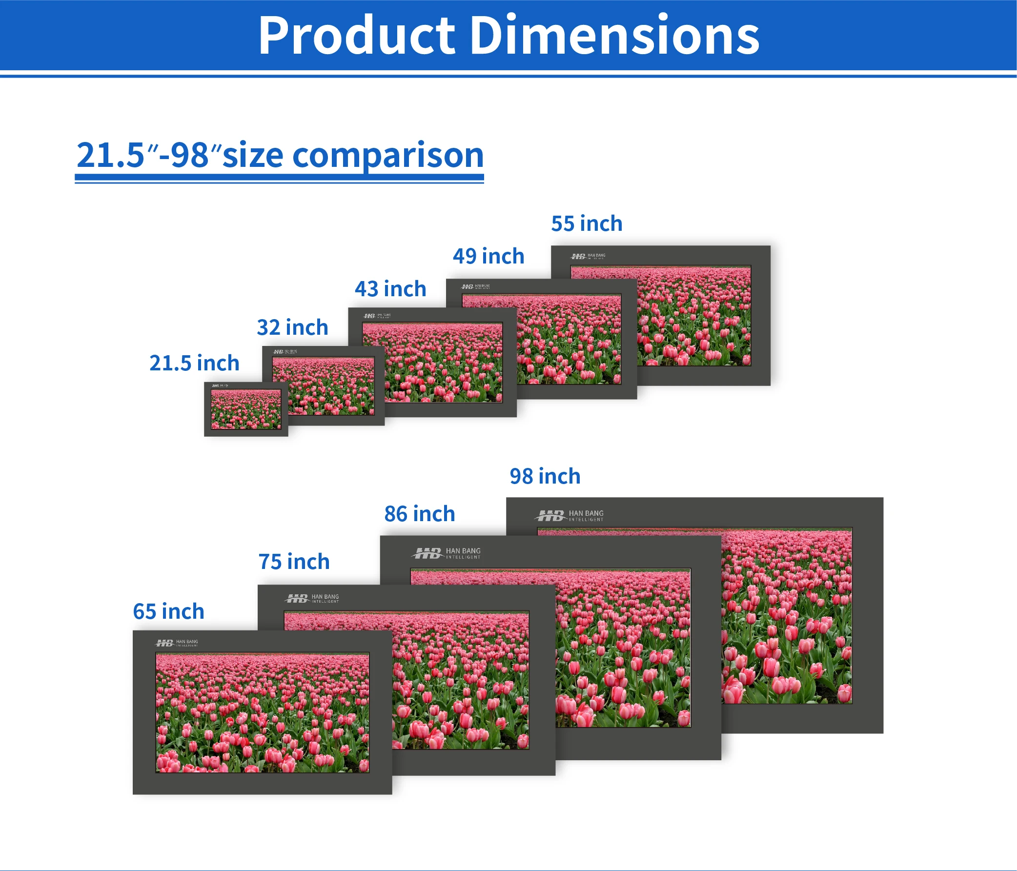 Transparent LED Display - Customizable Digital Signage