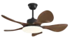 walnut wood