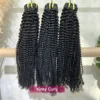 Kinky Curl