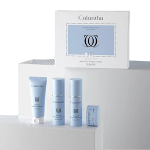 Private Label ODM Organic Vegan Niacinamide & Vitamin C Anti-Wrinkle Anti-Aging Whitening Acne Care Face Skin Care Set