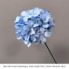 Blue Silk-Screen Hydrangea