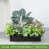 hc-Y60-11 es adecuado para jardineras de 60 cm.