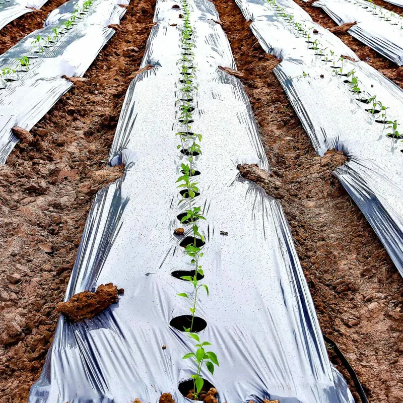 Garden Weed Control Barrier Ground Cover Cloth Silver and Black Plastic Mulch Film Agriculture